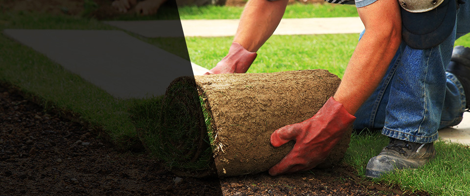 Diberville Landscapers